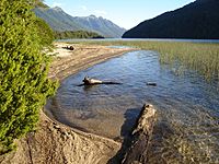 Lago Correntoso Playa