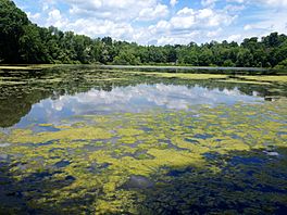 Lake Shenorock.jpg