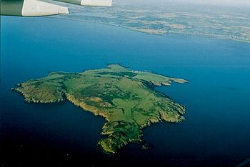 Lambay Island - Reachrainn - geograph.org.uk - 1350641.jpg