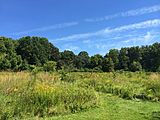 Meadowlark Gardens Experimental Meadow