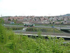 MerrallM2OverStrood9931