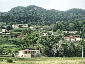 Mountains and homes in Moca