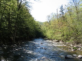 NY Chittenango Falls Facing Away.JPG