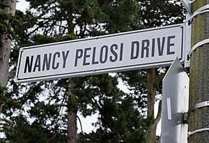 Nancy pelosi drive