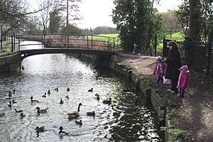 New River at Enfield Town Park