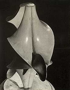 Objet mathematique by Man Ray