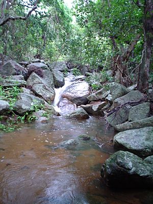 Palm Island Swimming hole - 'Palm Valley'