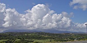 Puerto Rico El Yunque 1