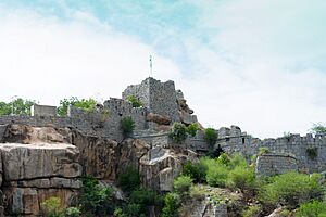 Raichur Fort 1.jpg