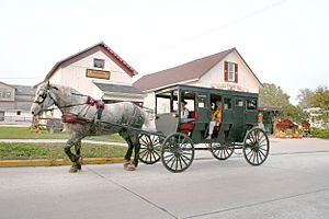 Shipshewana-indiana-amish-buggy.jpg