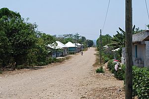 Residential street in the town