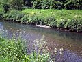 Tame Sandwell riverbed