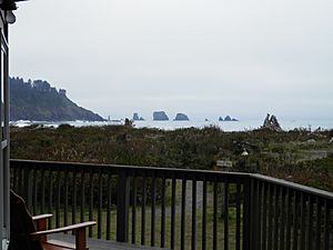 View of Pacific Ocean from Resort