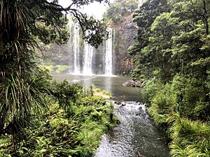 Whangarei Water Fall