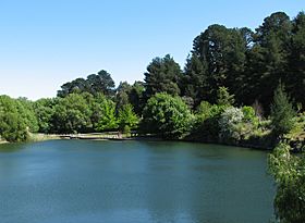 Wilson Botanic Park