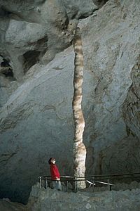 Witchs Finger Carlsbad Caverns