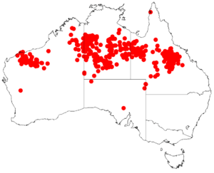 Acacia tenuissimaDistMap885.png