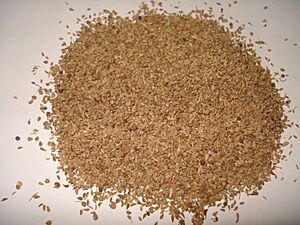 Ajwain.JPG