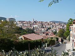 Annonay, vue générale