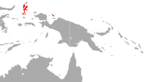 Biak Roundleaf Bat area.png