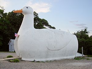 The iconic Big Duck along New York State Route 24 in Flanders.