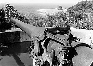 Blunts Point Battery - American Samoa - 1986