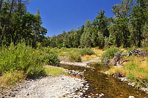 Butts Creek, Snell Valley