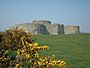 Camber Castle - geograph.org.uk - 18765.jpg