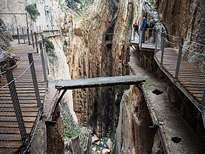 Caminito del Rey Andalusia-13 (25635110194)