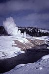 Cascade Geyser-Bower1998.jpg