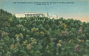 CatskillMountainHousePostcard