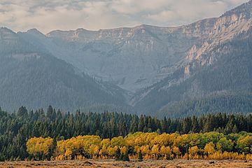 Centennial Mountains WSA (9441047921).jpg