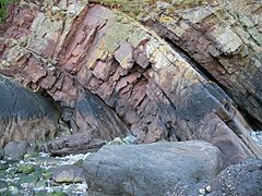 Cliff at Glenthorne Beach.jpg