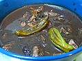 Dinuguan