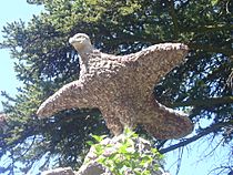 Eagle - Artigas gardens