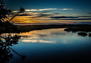 Edisto Beach State Park.jpg