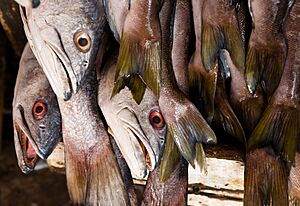 Ensenada fish market 2