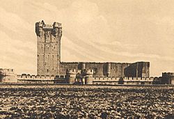 Fundación Joaquín Díaz - Castillo de la Mota - Medina del Campo (Valladolid) (4)