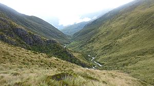 Hokitika River Headwaters New Zealand