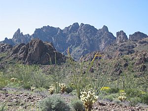 Kofa Mountains 002