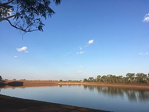 Lake Mary Ann Dam.jpg