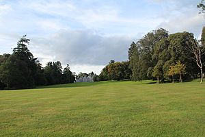 Lough Rynn7