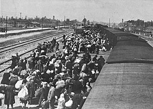 May 1944 - Jews from Carpathian Ruthenia arrive at Auschwitz-Birkenau