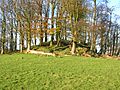 Mound at Polnoon Castle