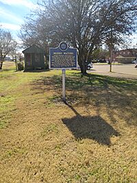 Muddy Waters Blues Trail Marker Rolling Fork.jpg