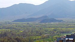 Mustard Fields Anantnag