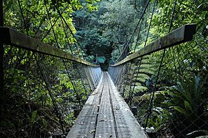 New Zealand, Great Walk Lake Waikaremoana (4)