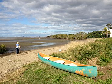 Nudgee Beach, Queensland 052013 491.jpg