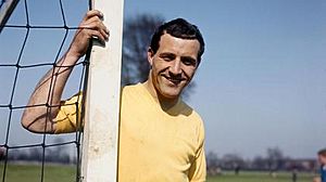 Ron Springett.jpg