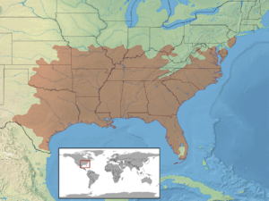 Scincella lateralis distribution.png